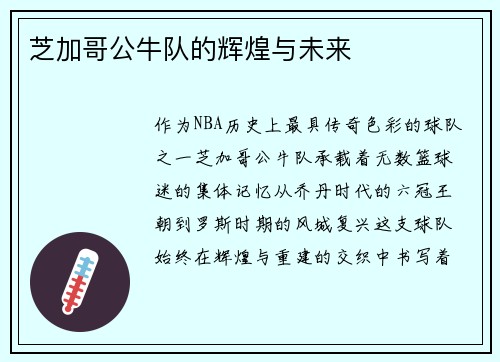 芝加哥公牛队的辉煌与未来